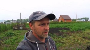 Какую породу свиней  выбрал я и почему /ландрас /пьетрен / КБ / дюрок