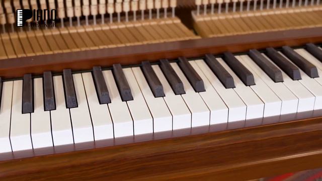 ✅ Albert weber Y02590651 ✅ смотреть онлайн