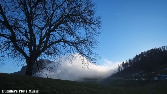 Buddha's Flute : Deep Healing  | Music For Meditation & Zen
