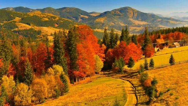 "Дорожный ангел". История из жизни. смотреть онлайн