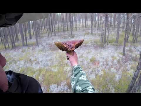 090821 смотреть онлайн