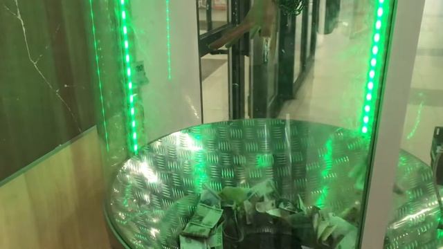УЕХАЛИ ОТ ПОЛИЦИИ НА ВЕЛОСИПЕДЕ / БЕСПРЕДЕЛ НА ДОРОГЕ смотреть онлайн