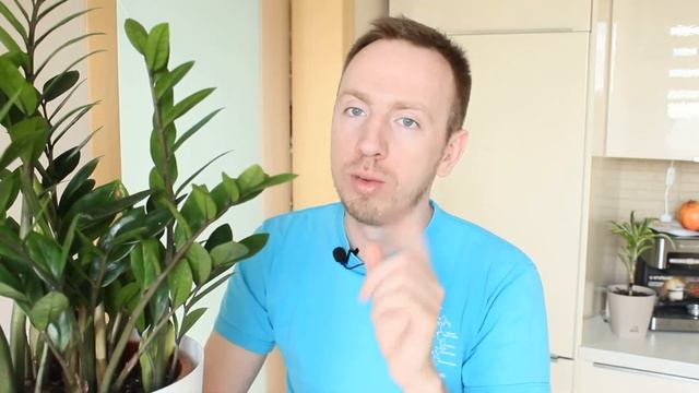ПОДАРОК НА 23 ФЕВРАЛЯ. ЗАМИОКУЛЬКАС — уход за Долларовым деревом в домашних условиях. Секрет роста! смотреть онлайн
