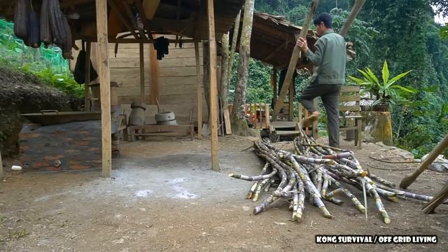 FULL VIDEO: 220 Days Build Life | Harvest cassava, Build a safe entrance for the farm смотреть онлайн