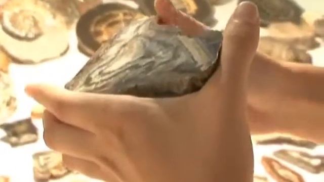 Выставка-ярмарка «Каменная Сказка» в Саратове 2011 смотреть онлайн