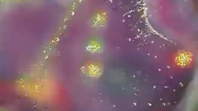 Живопись и Песня Виктории ПреобРАженской смотреть онлайн