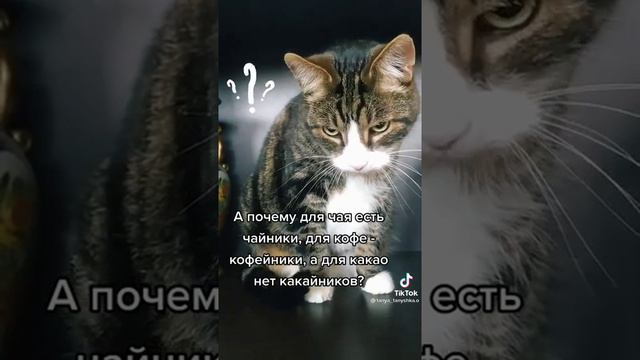 почему смотреть онлайн