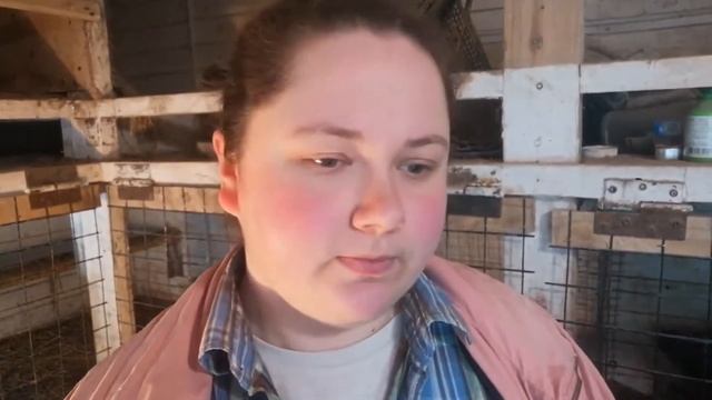 Почему мы продали Легбаров ? Инкубатор снова в деле! смотреть онлайн