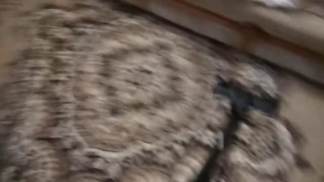 Отзыв о пылесосе САМСУНГ SC18M21COVR через 1 год эксплуатации - он работает! смотреть онлайн