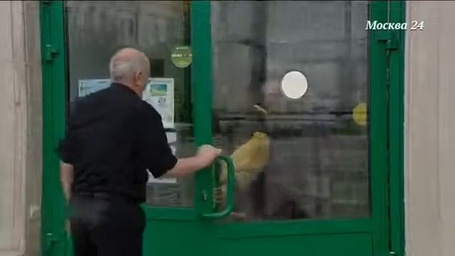 "Торги Москвы": Москва готовит к продаже крупнейшую сеть аптек смотреть онлайн