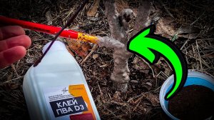 Как восстановить ствол дерева после атаки грызунов