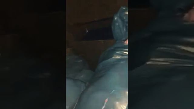 Хлеб даром! Коломенский хлебокомбинат, Москва, ПОСЛЕ КАРАНТИНА.