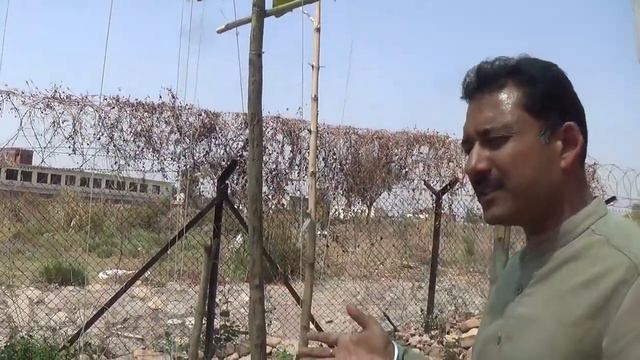 Soil less farming in India Hydroponic farm my garden 2020 смотреть онлайн