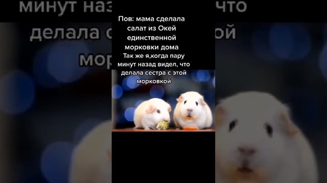 Мемас из ТикТока #смех #ржака #юмор #мемы #жиза #смешно #угар #прикол #весело #ш (23) смотреть онлайн