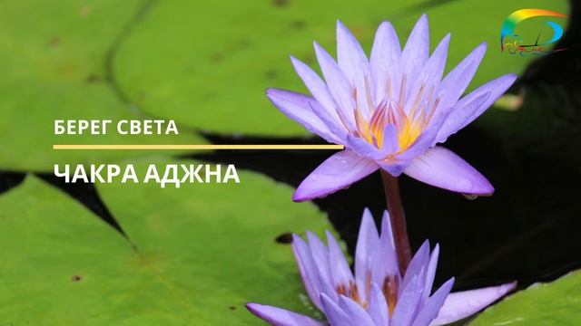 Открытие Чакры Аджна