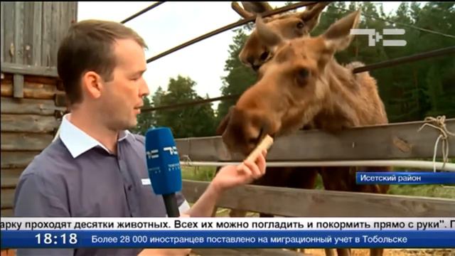 Новый экопарк смотреть онлайн