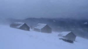 Сон в метель. Вьюга. Звуки для сна