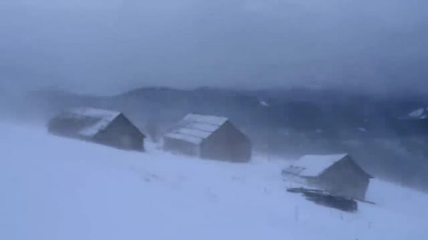 Сон в метель. Вьюга. Звуки для сна