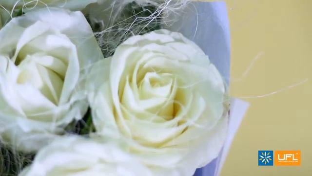 Видео-обзор букета "Белоснежка" - UFL / u-f-l.net смотреть онлайн