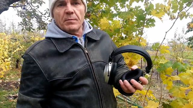 Совмещаем полезное с приятным на винограднике. смотреть онлайн