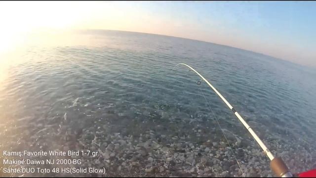 Duo Tetra Works 48 HS ile Light Rock Fishing (LRF) Kuzu Avı/Ultra Light 23.06.2018 смотреть онлайн