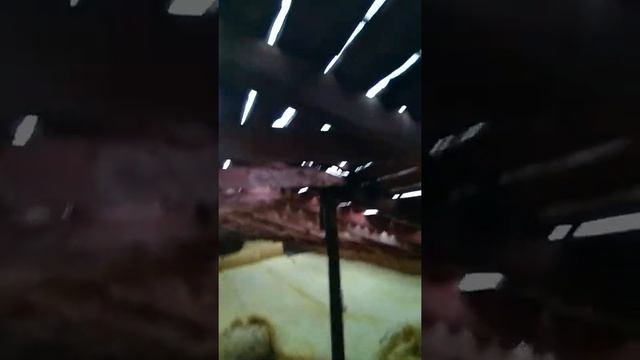 Ремонт крыши продолжение Минькино смотреть онлайн