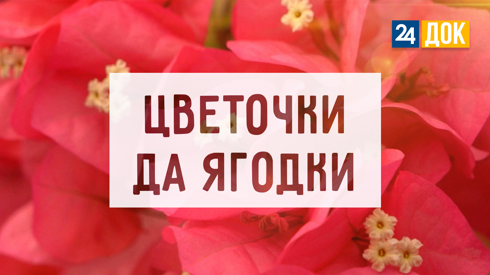 Волшебные сады и гигантские ягоды. Агронорм