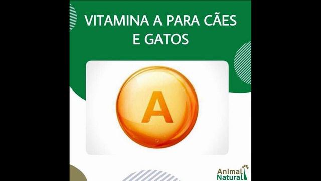 como fazer pitbull ganhar peso смотреть онлайн