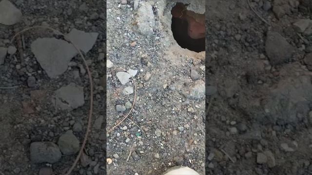 ОСТОРОЖНО ХОДИТЕ МЕЖДУ МОГИЛ смотреть онлайн