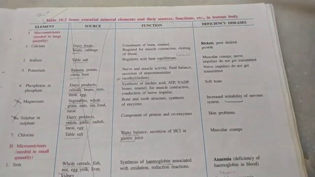NUTRITION (9th std. ICSE Bio ch. 10) смотреть онлайн