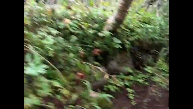 Ловозерские тундры. Сейдозеро (саам. Сейдъявврь) смотреть онлайн