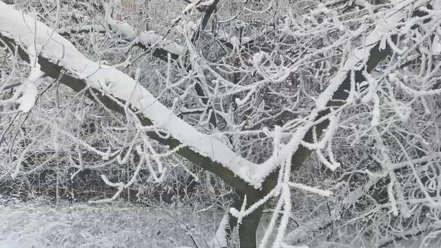 Теплый конец декабря. Итоги 2023 года смотреть онлайн