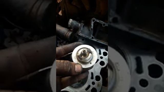 uso de termostato en kia pregio portugués смотреть онлайн