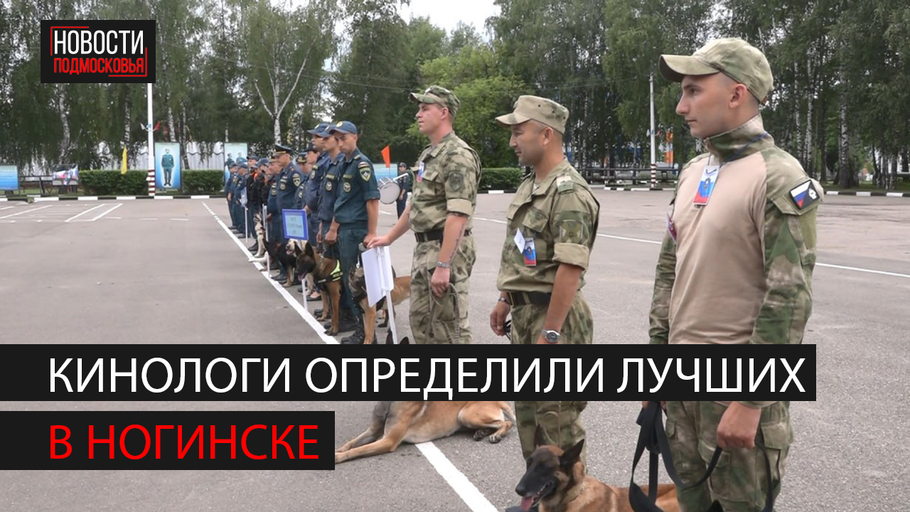 В Спасательном центре МЧС прошли соревнования кинологов смотреть онлайн