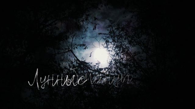 «День бесконечный прожит» смотреть онлайн