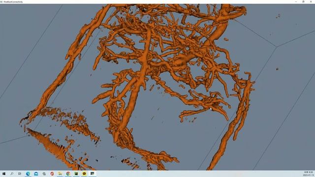 VTK Python Example - PineRootConnectivityA смотреть онлайн