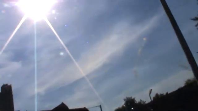 Бородатый зоопарк 1 смотреть онлайн