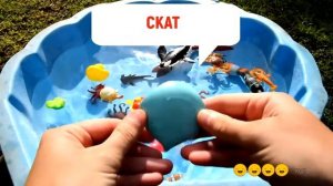 ИГРУШКИ МОРСКИЕ ЖИВОТНЫЕ ДЛЯ ДЕТЕЙ