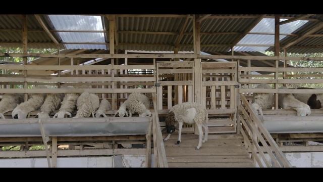Sony Xperia XZ3 4K Cinematic HDR | CAMERA VIDEO TEST смотреть онлайн
