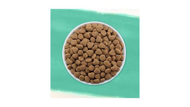 purina cat food || Best purina cat foods || Best 5 purina cat foods 2019 смотреть онлайн