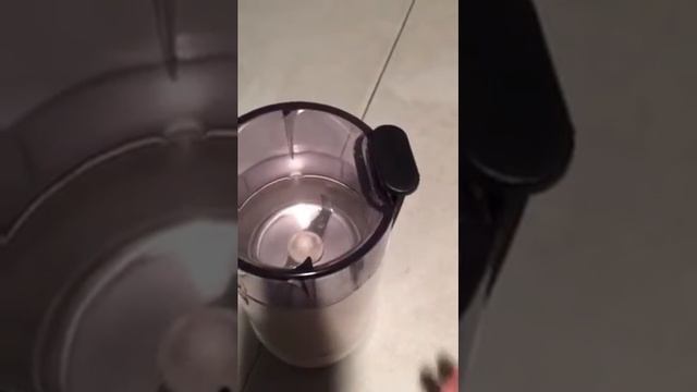 Braun Grinder смотреть онлайн