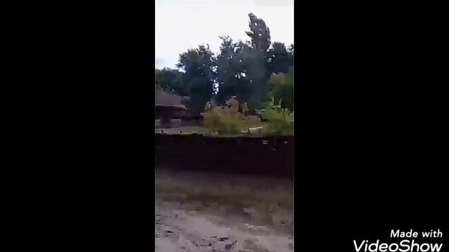 Стихотворение «Украинская хата». Русский в Украине. смотреть онлайн