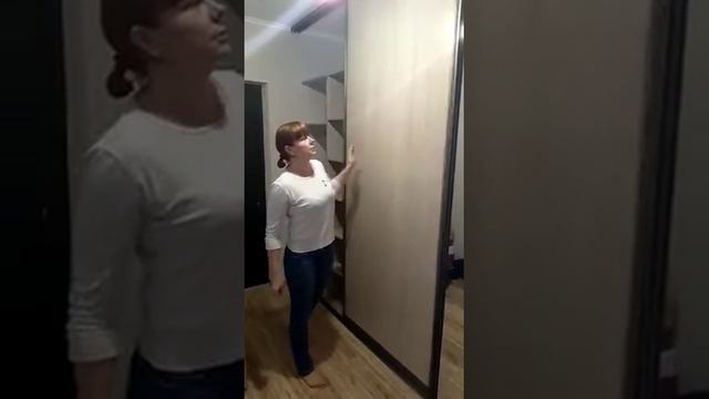 Встроенный шкаф купе во всю стену. Прихожая смотреть онлайн