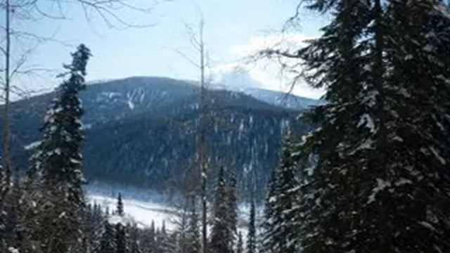 Таежный край-это наша Теба смотреть онлайн