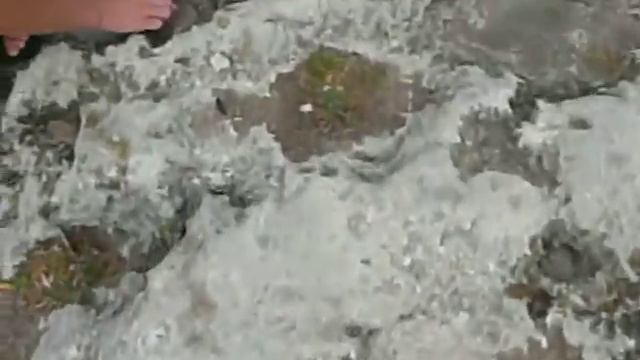 Золотоискатели