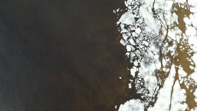 Комарово 16 апреля 2023