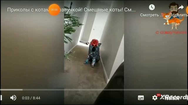 Разговоры о важном 22мая 3-4класс смотреть онлайн