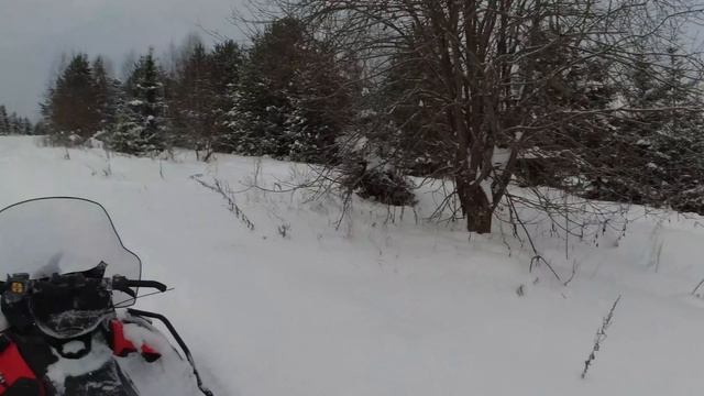 Охота на кабана #2 смотреть онлайн