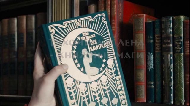 "Наколдуй, библиотекарь!" Анна Васильева смотреть онлайн