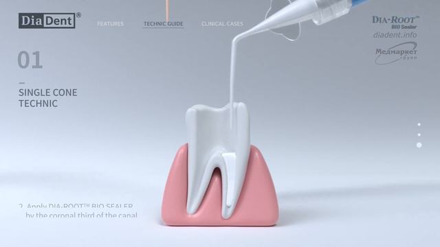 Dia-Root Bio Sealer (Diadent)